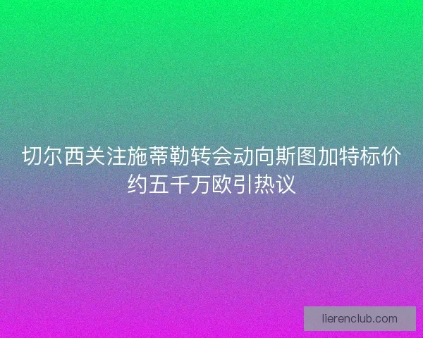 切尔西关注施蒂勒转会动向斯图加特标价约五千万欧引热议