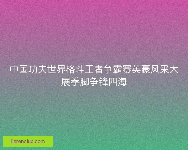 中国功夫世界格斗王者争霸赛英豪风采大展拳脚争锋四海